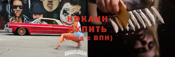 дживик Вязьма