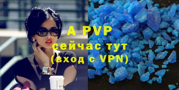 дживик Вязьма