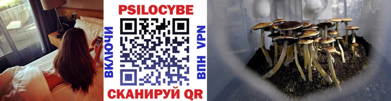 Галлюциногенные грибы Psilocybe  Миасс 